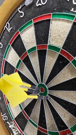 Target Japan Phil Taylor Power Gen 10 Super Darts Edition 95