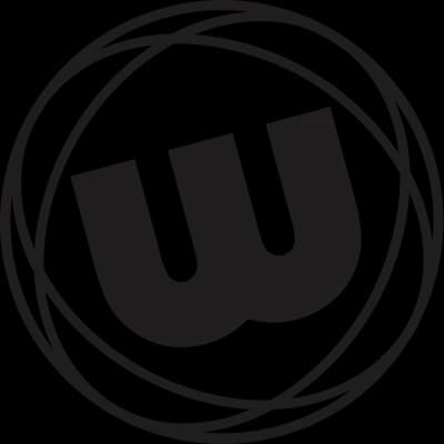 Winmau Players Darts