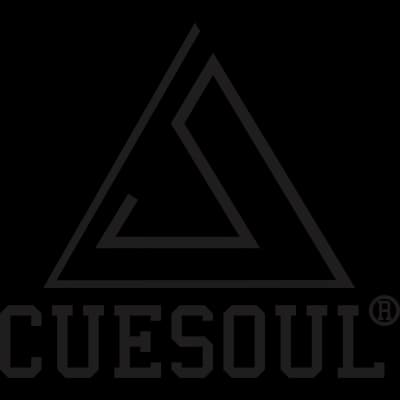 Cuesoul Dart Flights